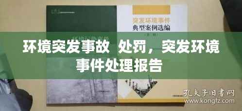 环境突发事故 处罚,突发环境事件处理报告
