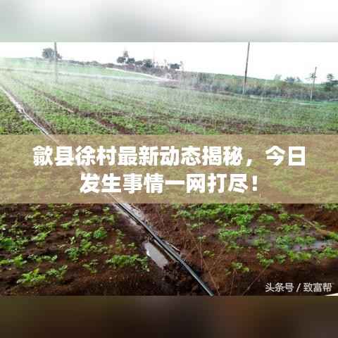 歙县徐村最新动态揭秘,今日发生事情一网打尽!