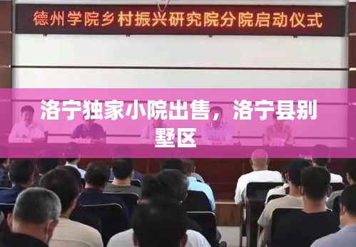 洛宁独家小院出售,洛宁县别墅区