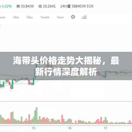 海带头价格走势大揭秘,最新行情深度解析
