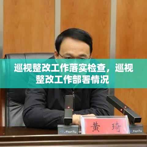 巡视整改工作落实检查,巡视整改工作部署情况