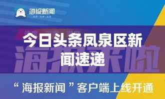 今日头条凤泉区新闻速递