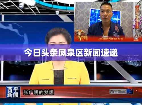 今日头条凤泉区新闻速递