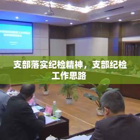 支部落实纪检精神,支部纪检工作思路