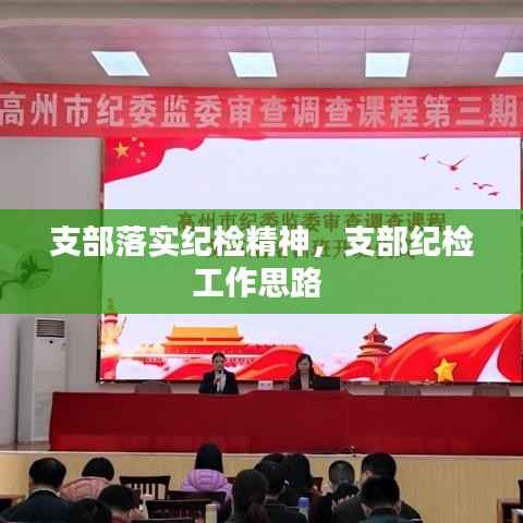 支部落实纪检精神,支部纪检工作思路