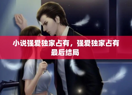 小说强爱独家占有,强爱独家占有最后结局