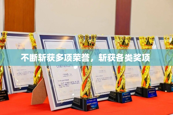 不断斩获多项荣誉,斩获各类奖项