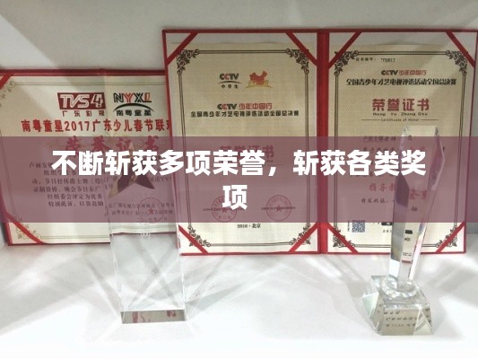 不断斩获多项荣誉,斩获各类奖项