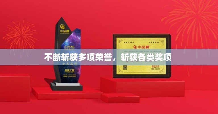 不断斩获多项荣誉,斩获各类奖项