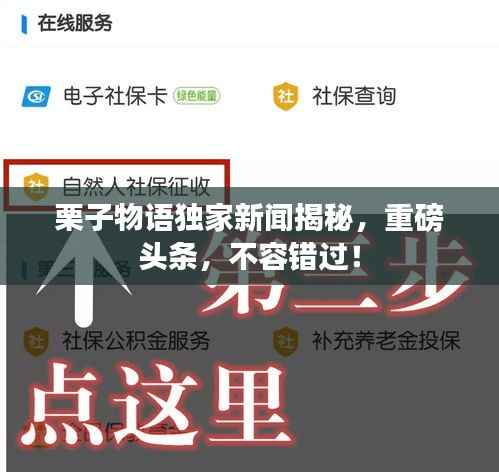 栗子物语独家新闻揭秘,重磅头条,不容错过!