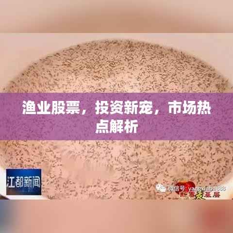渔业股票,投资新宠,市场热点解析