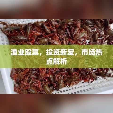 渔业股票,投资新宠,市场热点解析