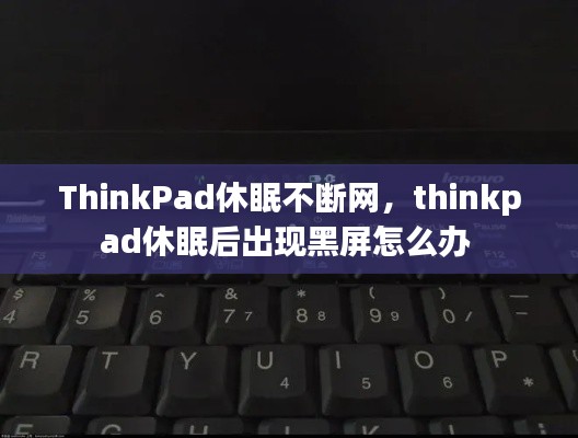 ThinkPad休眠不断网,thinkpad休眠后出现黑屏怎么办