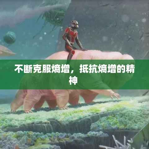 不断克服熵增,抵抗熵增的精神