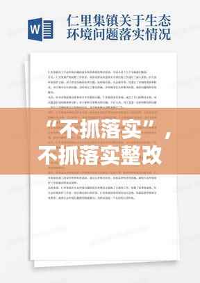 “不抓落实”，不抓落实整改措施 