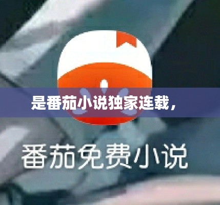 是番茄小说独家连载,