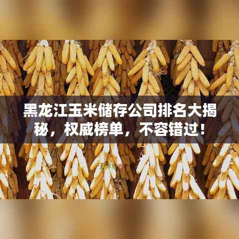黑龙江玉米储存公司排名大揭秘,权威榜单,不容错过!