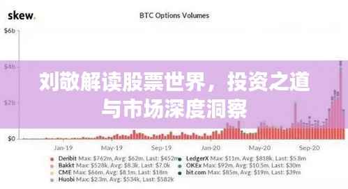 刘敬解读股票世界,投资之道与市场深度洞察