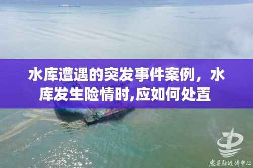 水库遭遇的突发事件案例,水库发生险情时,应如何处置