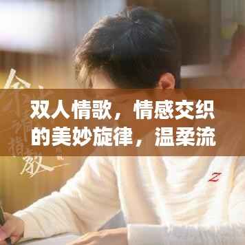 双人情歌,情感交织的美妙旋律,温柔流行触动心灵深处