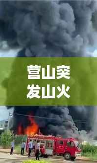营山突发山火事故，营山县特大暴雨 