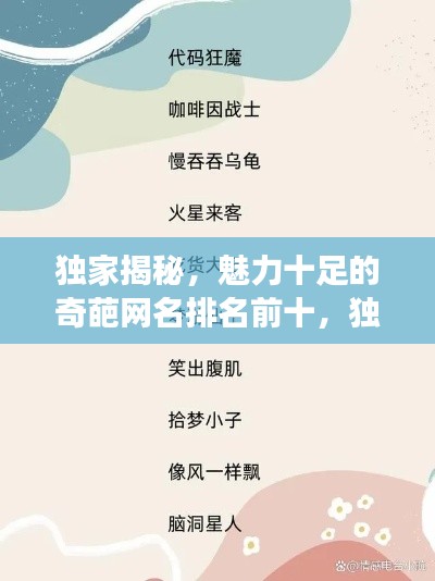 独家揭秘，魅力十足的奇葩网名排名前十，独特之选背后的故事！