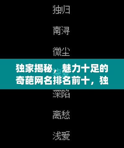 独家揭秘,魅力十足的奇葩网名排名前十,独特之选背后的故事!
