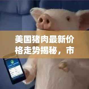 美国猪肉最新价格走势揭秘,市场趋势、影响因素与前景展望