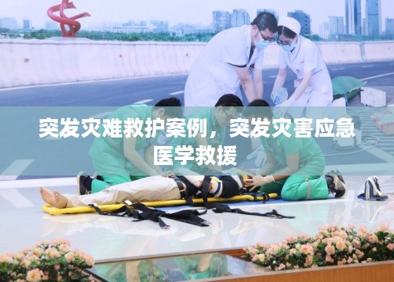 突发灾难救护案例,突发灾害应急医学救援