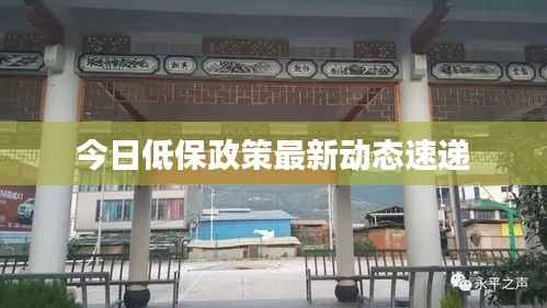 今日低保政策最新动态速递