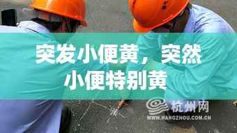 突发小便黄,突然小便特别黄