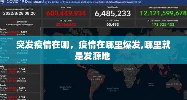 突发疫情在哪,疫情在哪里爆发,哪里就是发源地