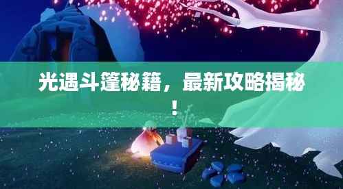 光遇斗篷秘籍,最新攻略揭秘!