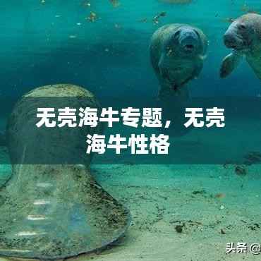 无壳海牛专题,无壳海牛性格