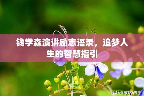 钱学森演讲励志语录,追梦人生的智慧指引