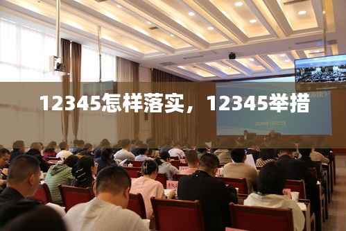 12345怎样落实，12345举措 