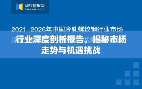 行业深度剖析报告，揭秘市场走势与机遇挑战