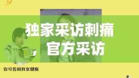 独家采访刺痛,官方采访