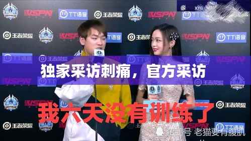 独家采访刺痛，官方采访 