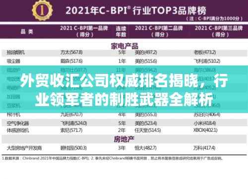 外贸收汇公司权威排名揭晓，行业领军者的制胜武器全解析