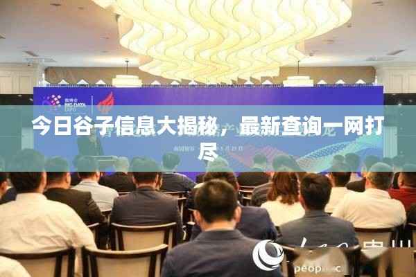 今日谷子信息大揭秘，最新查询一网打尽