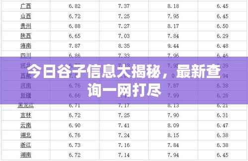 今日谷子信息大揭秘,最新查询一网打尽