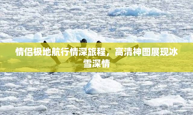 奔走如飞 第4页