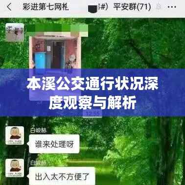 本溪公交通行状况深度观察与解析