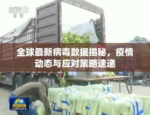 全球最新病毒数据揭秘,疫情动态与应对策略速递