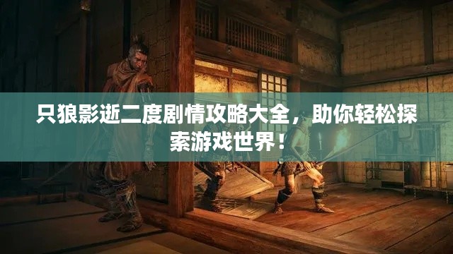 只狼影逝二度剧情攻略大全，助你轻松探索游戏世界！