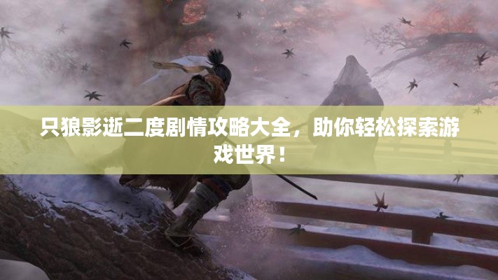 只狼影逝二度剧情攻略大全,助你轻松探索游戏世界!