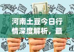 河南土豆今日行情深度解析，最新市场动态一网打尽！