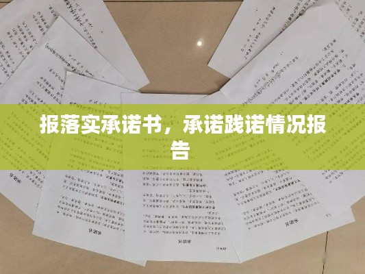 报落实承诺书，承诺践诺情况报告 