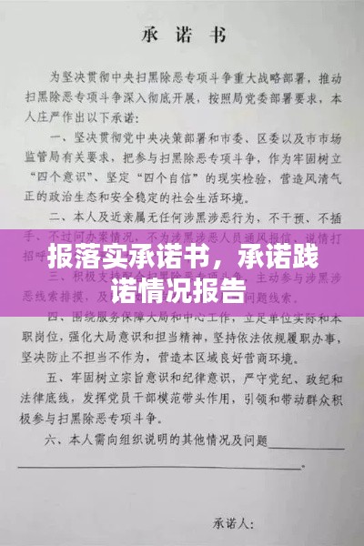 报落实承诺书,承诺践诺情况报告